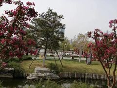 -西海子公园