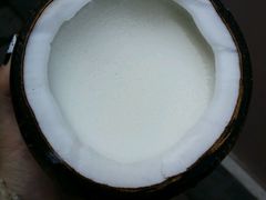 -志龙皇冠吃货椰子铺