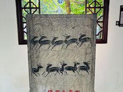 -上海醉白池公园