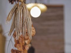 -灶咖KITCHEN
