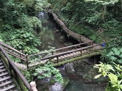 -青城山