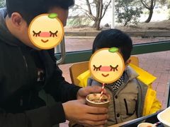 -企鹅岛
