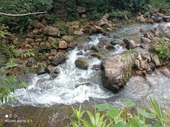 -广州白江湖森林公园