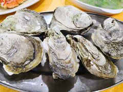 生蚝-蚝专家(北滘店)