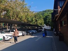 -西双版纳原始森林公园