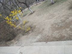 -桃花堤公园