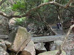 -东莞市大岭山森林公园