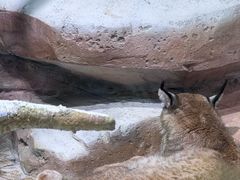 -海合安成都极地海洋公园
