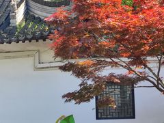 -沈大成(城隍庙店)