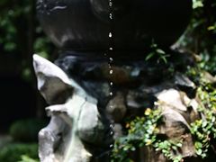 -虎跑公园