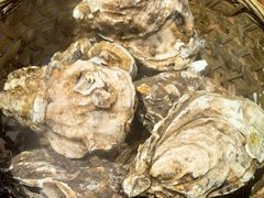 -蚝堡海鲜·威海菜·海肠捞饭·烧烤·亚洲吃蚝公司(幸福门店)
