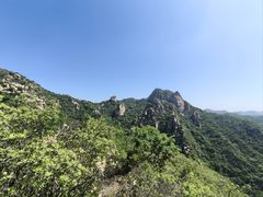 -大岭沟猕猴桃谷风景区