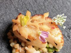 -北京古城老院厉晓麟精致菜