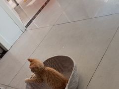 -佳雯宠物医院·皮肤科·内外科(春晓路分院)