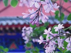 -盛世南宫影视城(北普陀影视城)