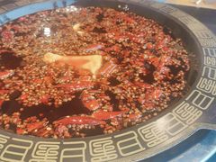 -一斗火锅·招财羊毛肚(北温泉九号店)