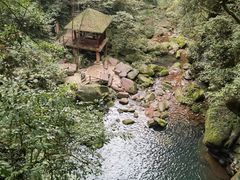 -碧峰峡风景区