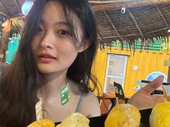 -榴莲BB 四季果园
