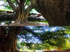 -晓港公园