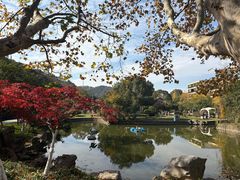 -峙山公园