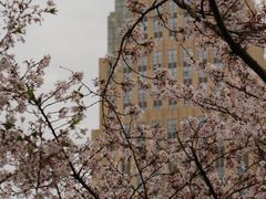 -西北湖绿化广场