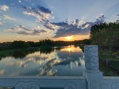 -大兴滨河森林公园