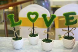 -艾米婚纱&婚礼策划