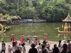 -西双版纳原始森林公园