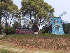 -铁山坪森林公园