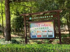 -上海佘山国家森林公园天马山园