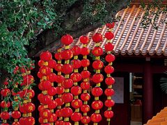 -深圳仙湖植物园