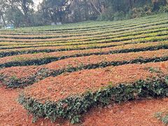 -敬亭山风景名胜区