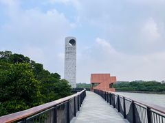 -东寨港红树林旅游区