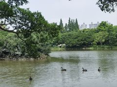 -江心屿景区