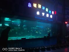 -泉城欧乐堡海洋极地世界