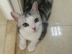 -瑞鹏宠物医院·骨科·猫科·内科(第一中心)