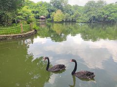 -深圳野生动物园