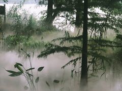 -东湖落雁景区