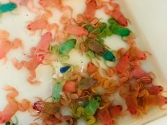 -双季花艺园艺市场(浦东店)