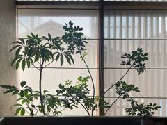 -元古雲境(太古里店)