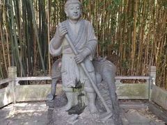 -王顺山国家森林公园