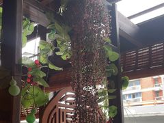 -蓉城老妈火锅(双林路店)