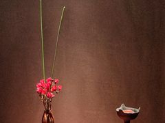 -觀芷隐轩