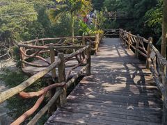 -海南槟榔谷黎苗文化旅游区