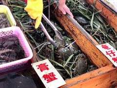 -南沙十九涌渔人码头-南门