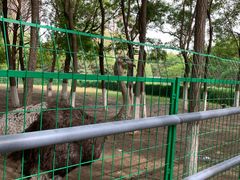 -长白岛森林公园