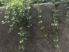 -西安电影制片厂