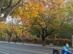 -安妮意大利餐厅(日坛店)