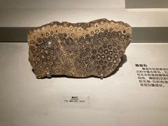 -长江文明馆
