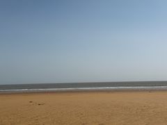 -日照海滨国家森林公园